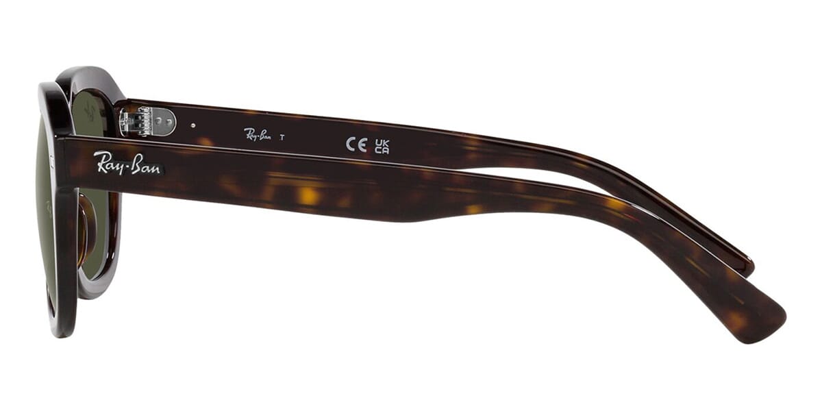 Ray-Ban Erik RB 4398 902/31