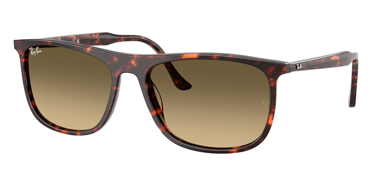 Ray-Ban RB 2216 1429/0A